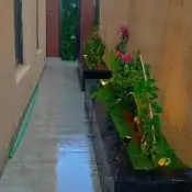 تنسيق حدائق 6