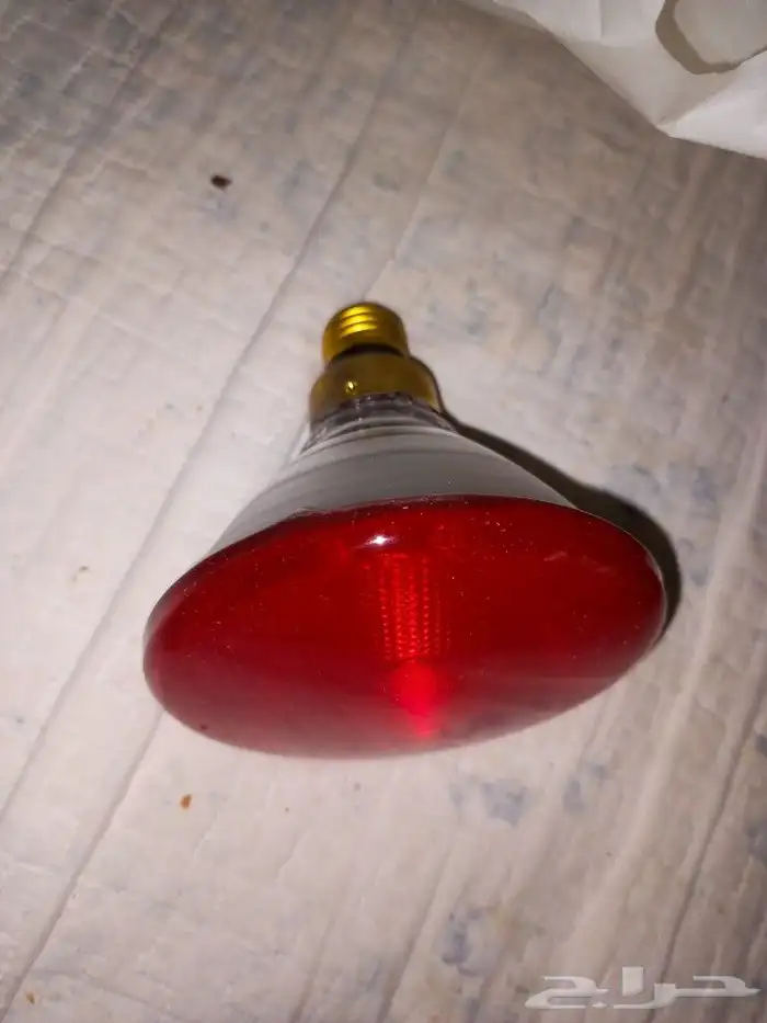 لمبات حرارية 100w 2