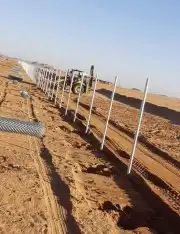 نعمل في قلع وغرس وتوريد جميع انواع النخيل المثمرة والزينه 7