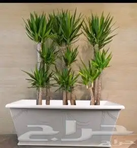 مصنع غربال جودة ضمان اجود انواع الانواع الاحواض والمراكن 2