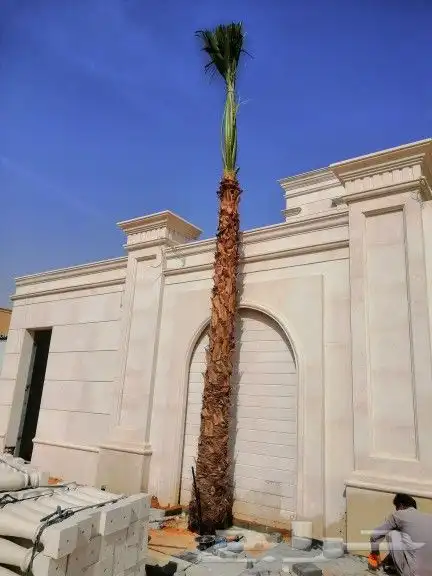 مقاول نخيل وشبك 2