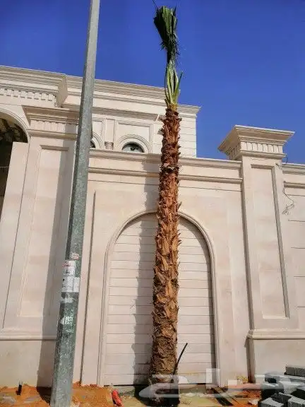 مقاول نخيل وشبك 1