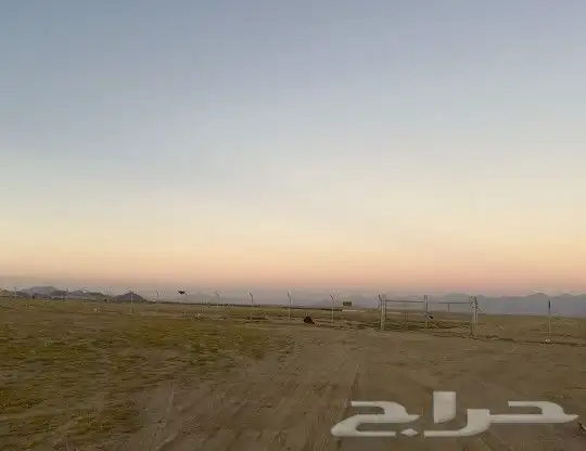 للإستثمار ارض عليها رخصة دواجن شمال شرق مستورة منطقة مكة 3