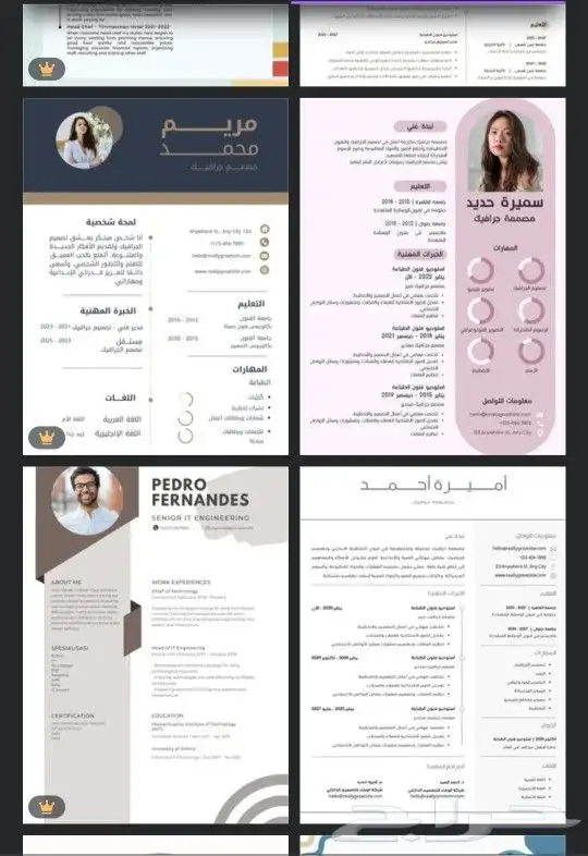 تصميم سيرة ذاتية احترافية 7