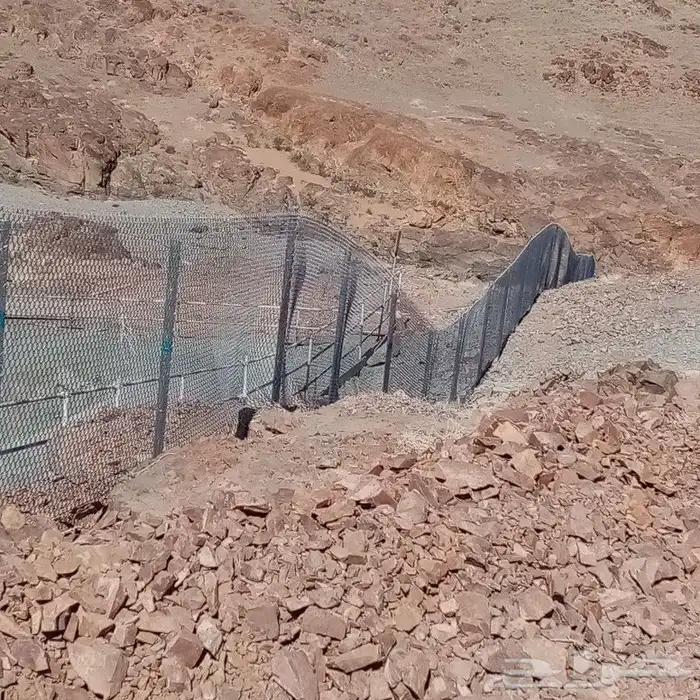 مقاول نخيل وشبك 7