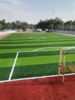 توريد وتركيب العشب الصناعي ثيل صناعي 7