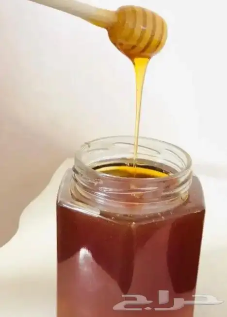عسل سدر طبيعي 100ب 100 فاخر جدا عالي الجودة 1