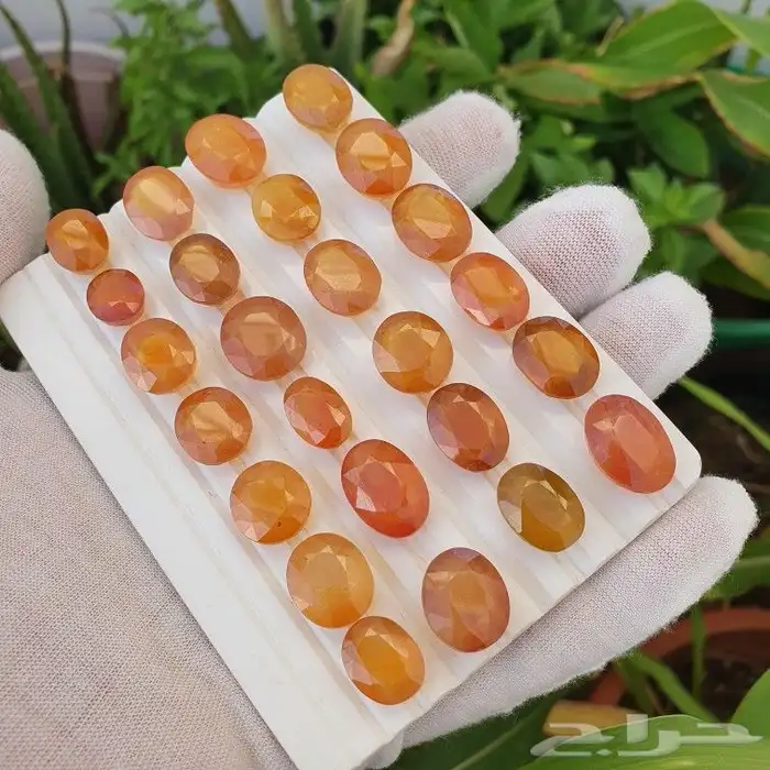 الاحجار الكريمة ياقوت زفير ياقوت اصفر ياقوت احمر 10