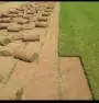 انجيله C2000 درجه امريكي 1