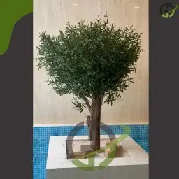 اشجار زيتون صناعي جذوع طبيعي 0