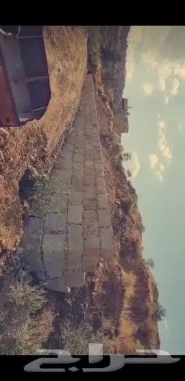 حجر على الشرط .. وطين زراعي درجه اولى 2