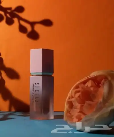 تسجيل مواقع ابشر طاقات هدف احوال عمل CVأحترافي 4