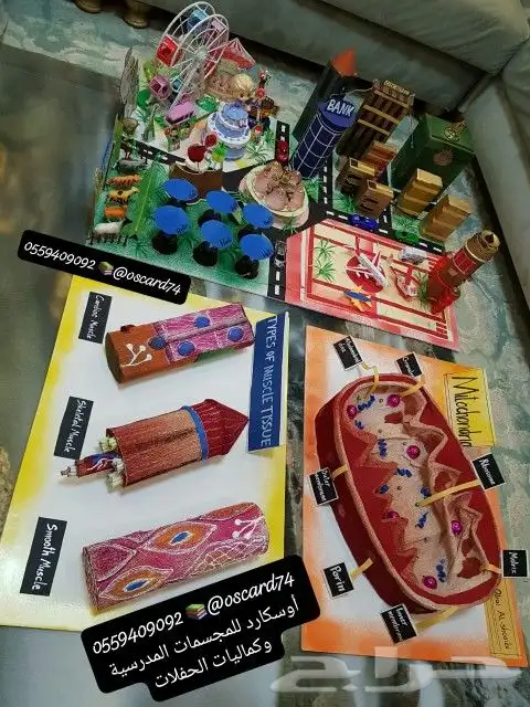 مجسمات و مشاريع و وسائل لوح تعليمية 9