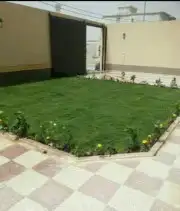 تركيب نخيل وقص اشجار 15
