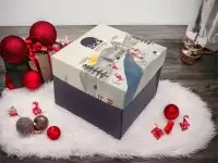 مصنع بوكسات واكياس ورقيه اسعار تنافسيه سرعه بالانجاز 7