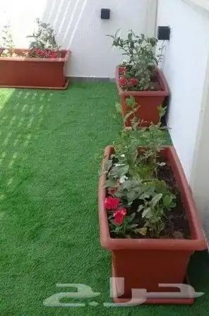 تركيب نخيل وقص اشجار 16