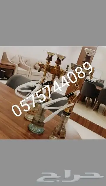 تأجير شيش وجميع أنواع المعسل 0
