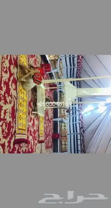 تأجير خيام بيوت شعر ترثيات جلسات 1