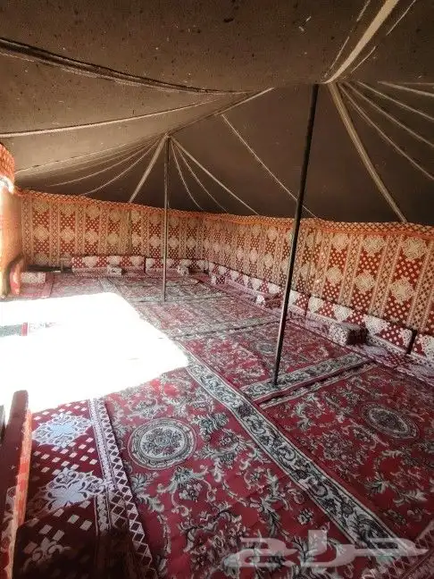 بيت شعر 6في 11 اجار داخل القصيم 3