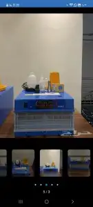 شركة غربال للفقاسات والنتافات 1