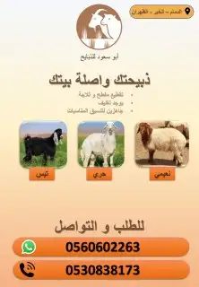 ذبيح بأسعار مناسبة 0