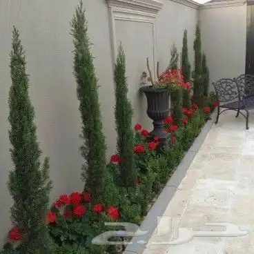 تصميم وتنسيق حدائق حديثه ابو ريان 7