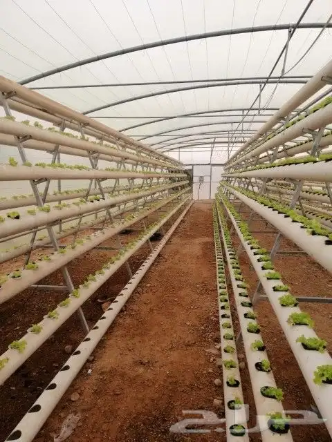 تصميم وتنفيذ زراعة مائية 1