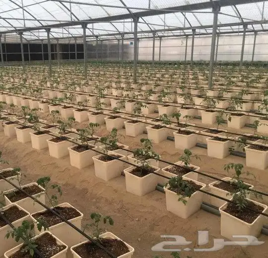 تصميم وتنفيذ زراعة مائية 4