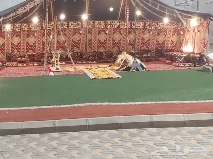 تاجير خيم وبيوت شعر وتراث 1