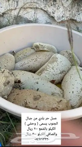 عسل سمن تمر زيوت قهوة شعبيات 31