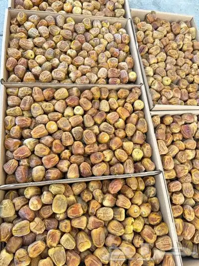 عسل سمن تمر زيوت قهوة شعبيات 0