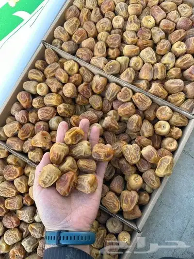 عسل سمن تمر زيوت قهوة شعبيات 1