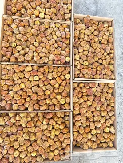عسل سمن تمر زيوت قهوة شعبيات 7
