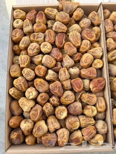 عسل سمن تمر زيوت قهوة شعبيات 4