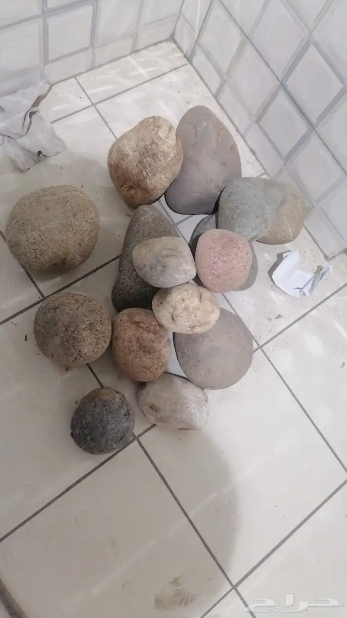 حصى نهري  مرو  حجر زينة حدائق 6
