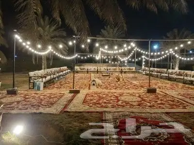 تاجير عقود وجلست شعبيه وكوتييه 1