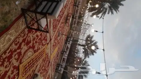 تاجير عقود وجلست شعبيه وكوتييه 3