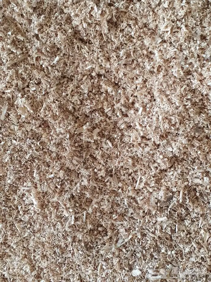 نشارة للدواجن خميس مشيط البيع كميات 2