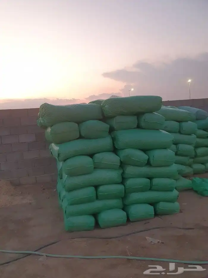 نشارة للدواجن خميس مشيط البيع كميات 1