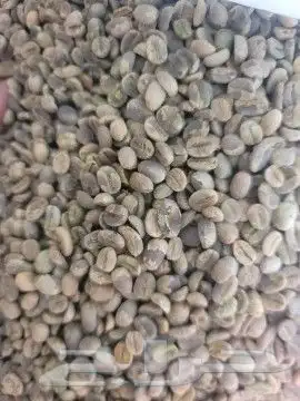البن اليمني الاجود والافخر عالميا يصنع اكبر خبراء القهوه 4