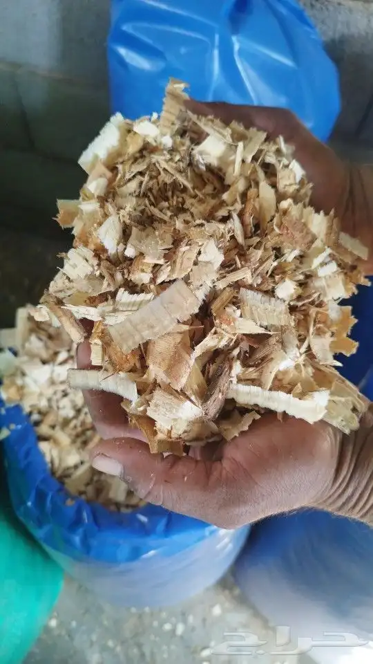 نشارة خيل 6