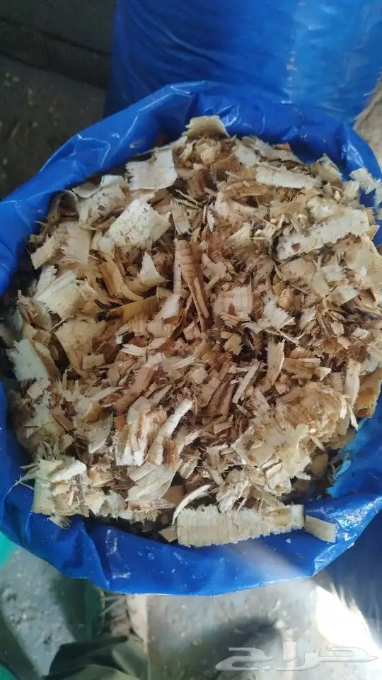 نشارة خيل 4