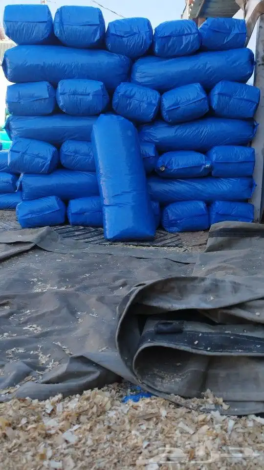 نشارة خيل 2