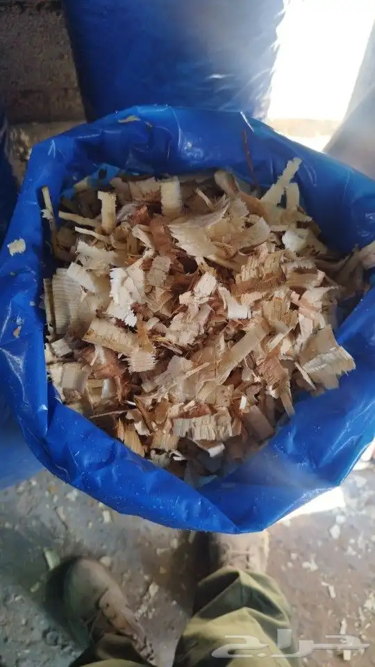 نشارة خيل 1