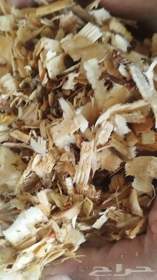 نشارة خيل 0