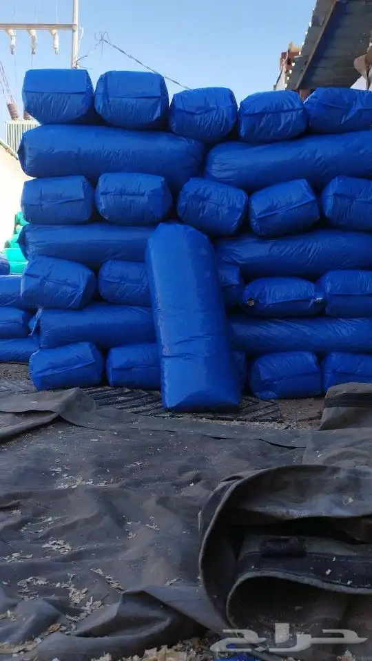 نشارة خيل 5