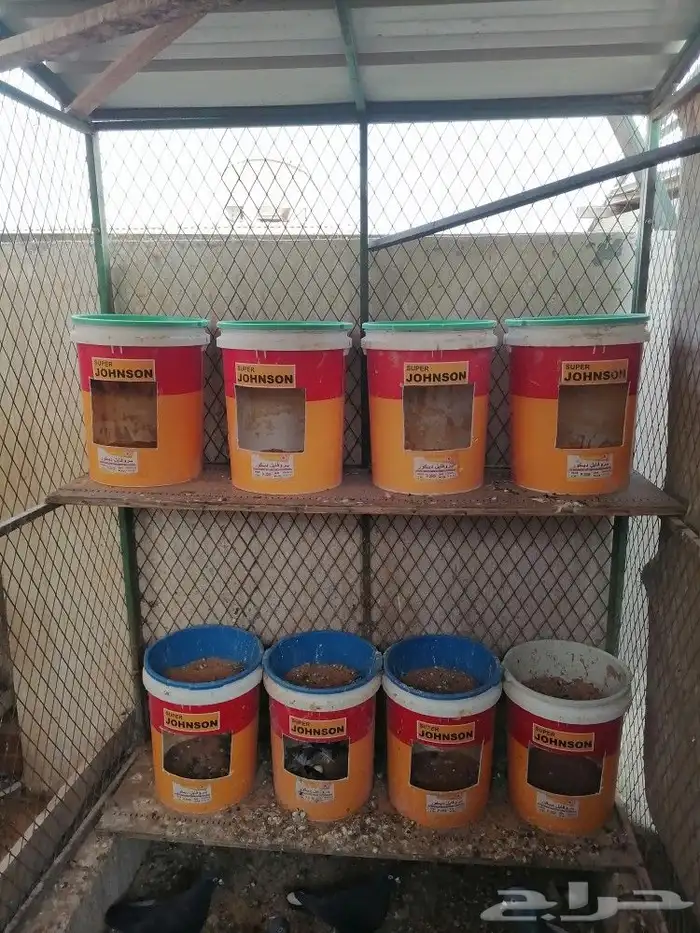 رفوف مطوره 2