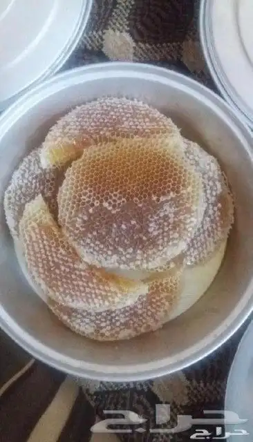 عسل سدر عسل شوكه اصلي مضمون على الشرط 5