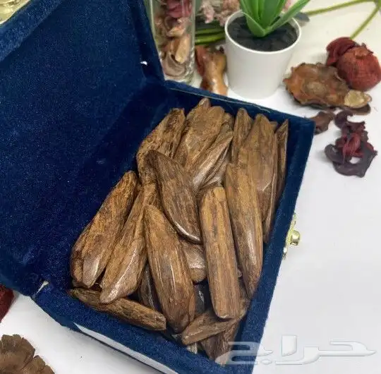 عرض على العود 6