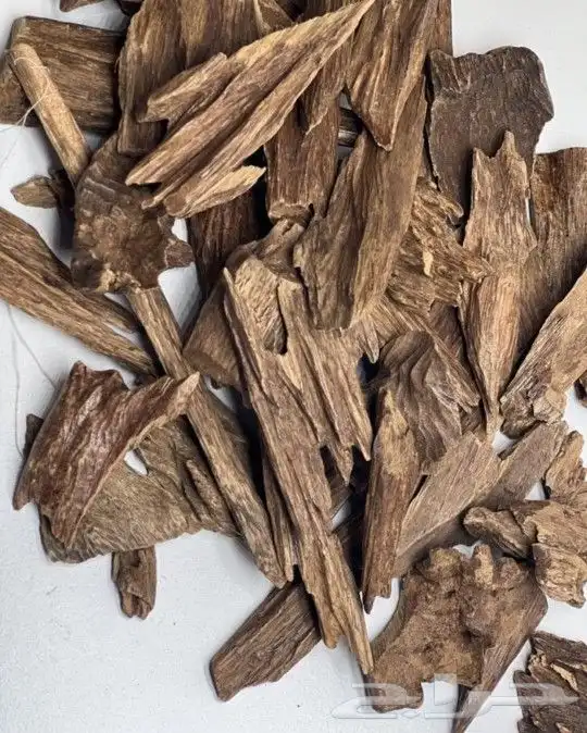 عرض على العود 8